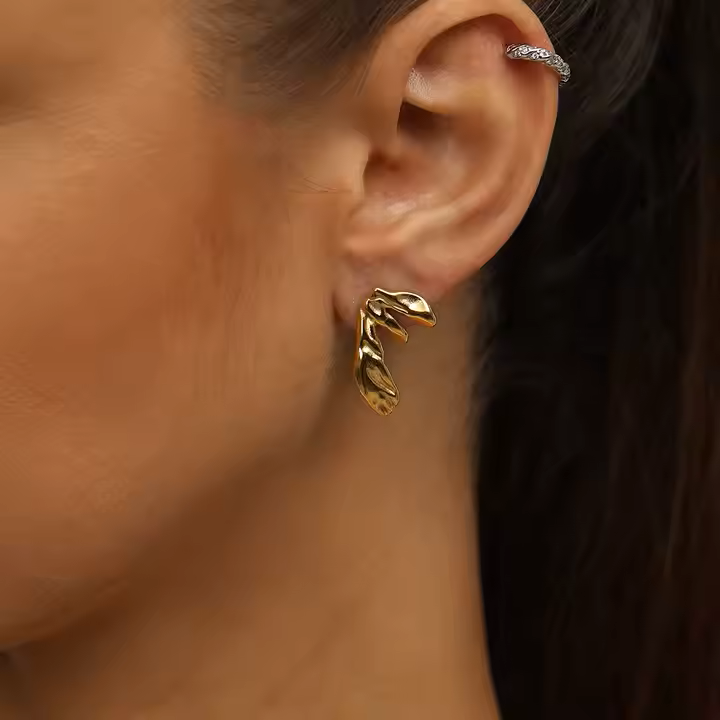 FLORIDA EARRINGS