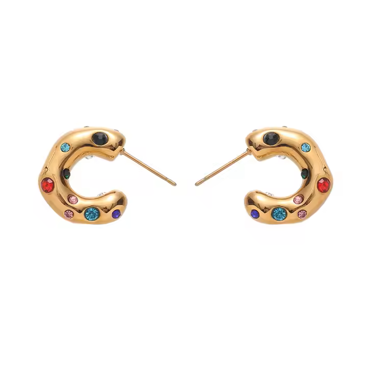 CHARMING EARRINGS