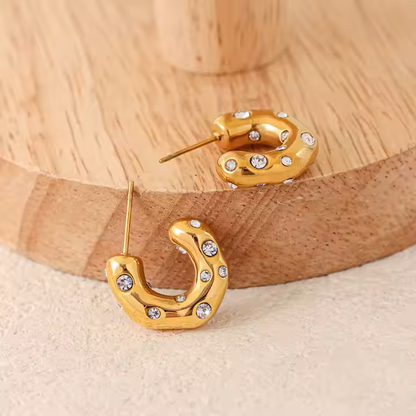 CHARMING EARRINGS