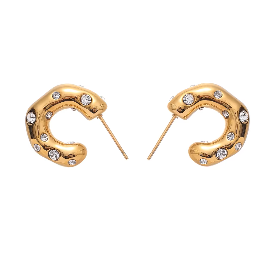 CHARMING EARRINGS